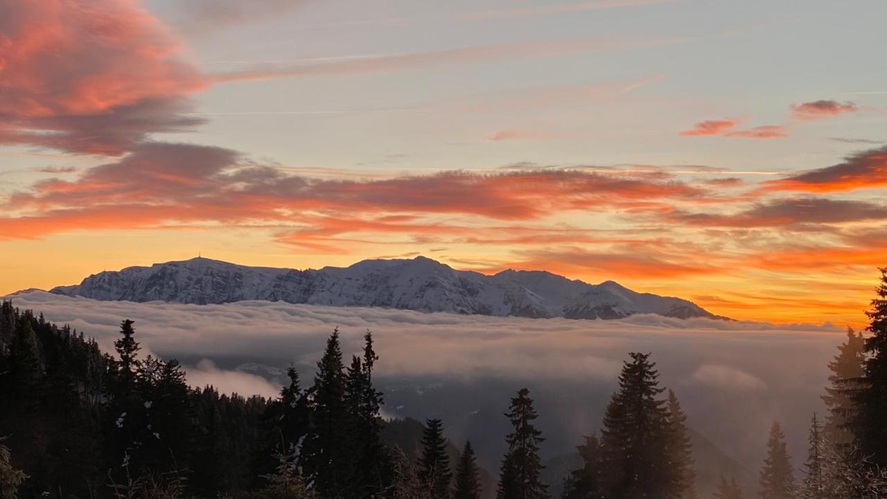 Yager Chalet Poiana Brasov Esterno foto